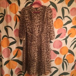 Talbots leopard dress
